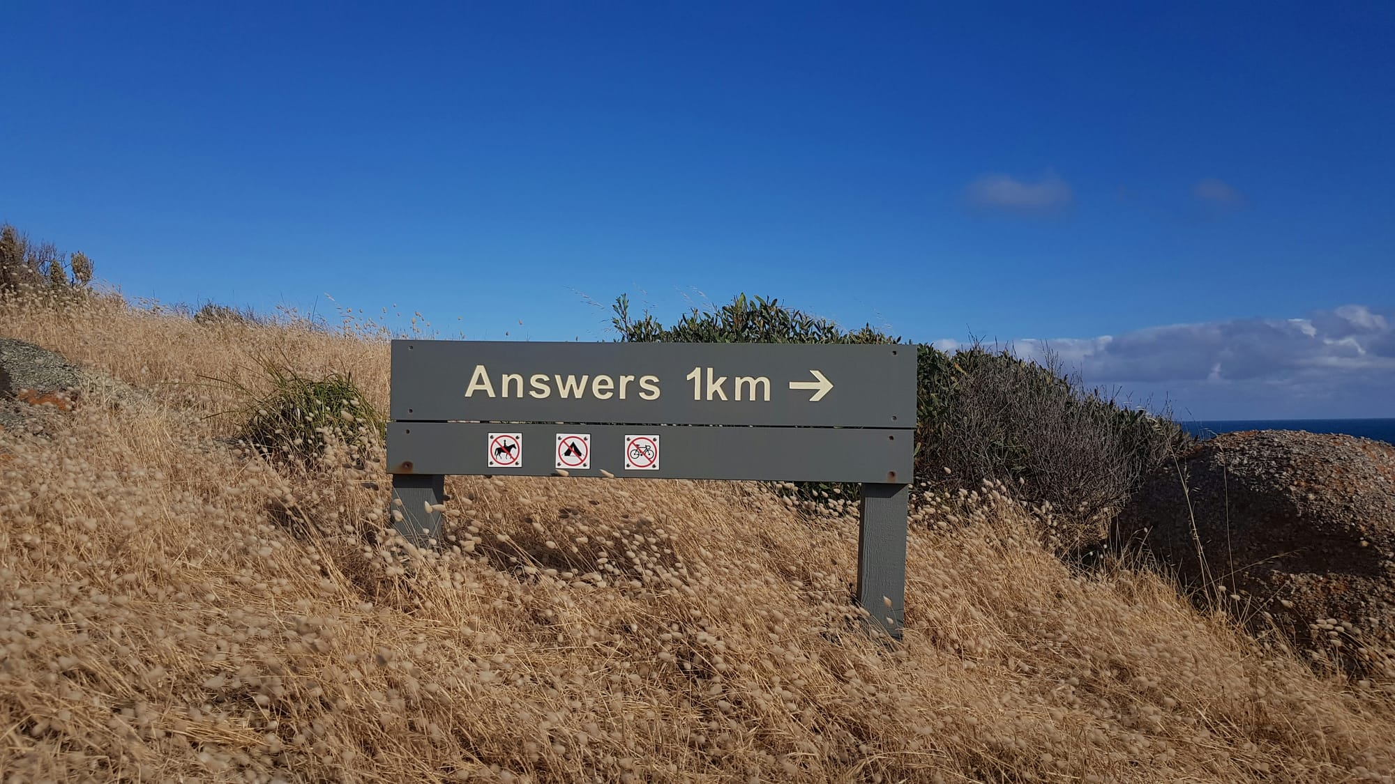 Open-Ended Questions