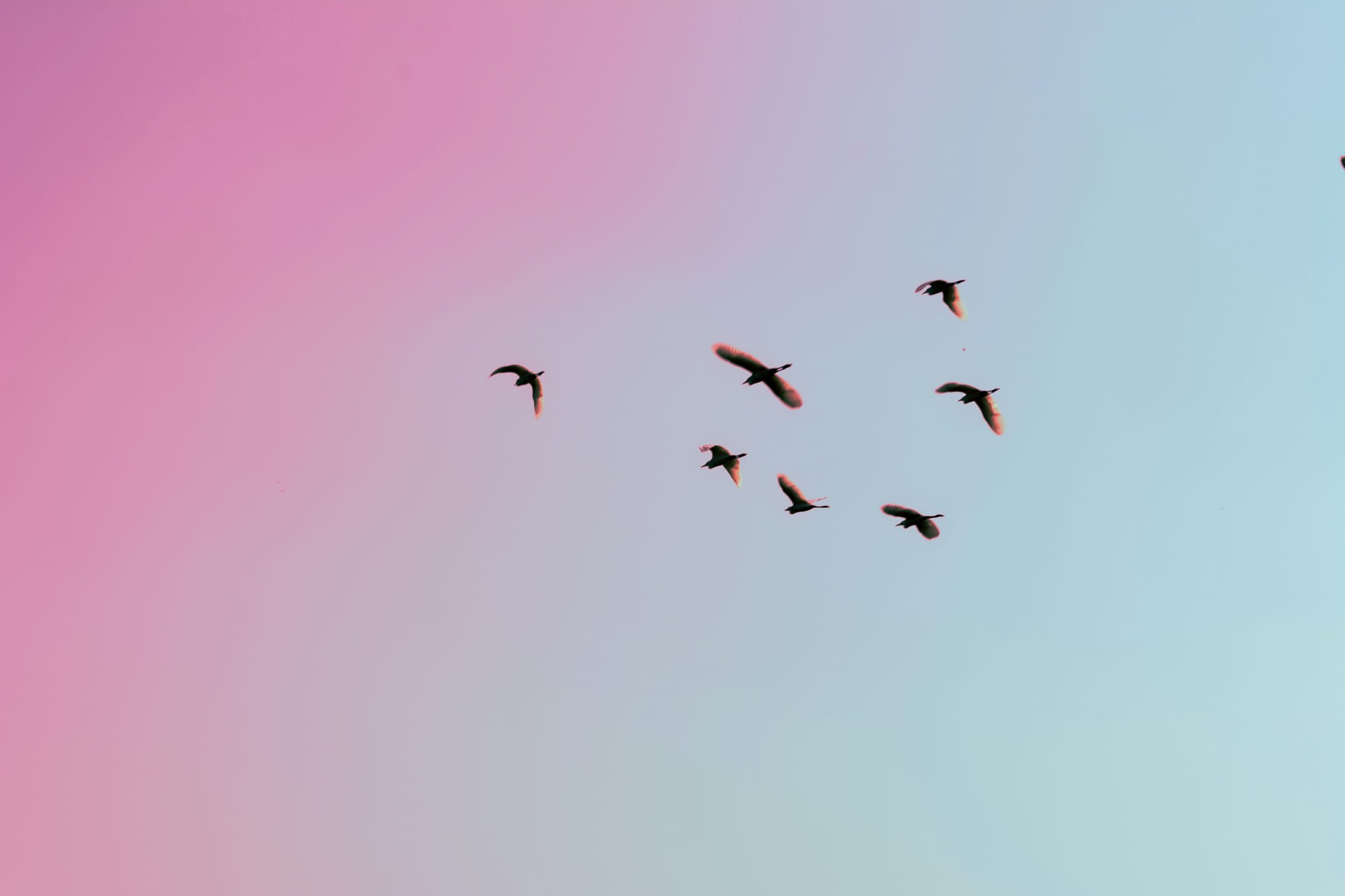 Show Up, See What Happens